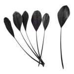productHero-SPOTWF-BP80696533-black-2