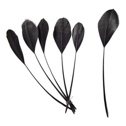 productHero-SPOTWF-BP80696533-black-2