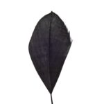 productHero-SPOTWF-BP80696533-black-3