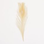 productHero-SPOTWF-BP80696534-natural
