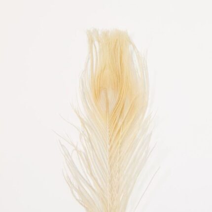 productHero-SPOTWF-BP80696534-natural-2