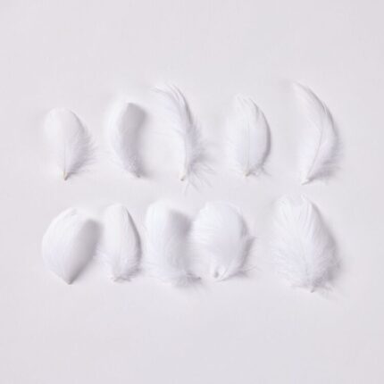 productHero-SPOTWF-BP80696539-white-2