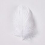 productHero-SPOTWF-BP80696539-white-3