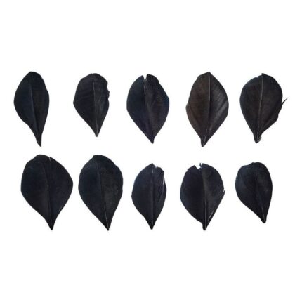 productHero-SPOTWF-BP80696540-black-2