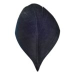 productHero-SPOTWF-BP80696540-black-3