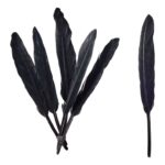 productHero-SPOTWF-BP80696542-black-2