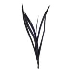 productHero-SPOTWF-BP80696545-black-2