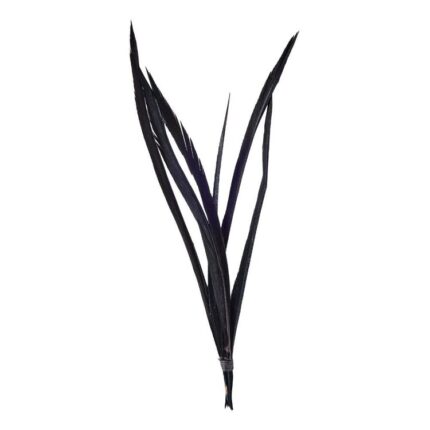 productHero-SPOTWF-BP80696545-black-2