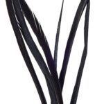 productHero-SPOTWF-BP80696545-black-3