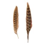 productHero-SPOTWF-BP80696546-natural-2