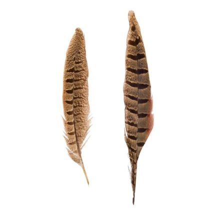 productHero-SPOTWF-BP80696546-natural-2