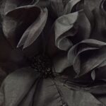 productHero-SPOTWF-BP80696764-black-4