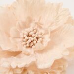 productHero-SPOTWF-BP80696768-beige-4