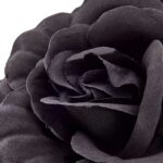 productHero-SPOTWF-BP80696774-black-4