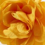 productHero-SPOTWF-BP80696782-orange-3
