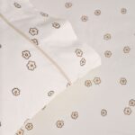 productHero-SPOTWF-BP80698117-blossom-2