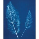 productHero-SPOTWF-BP80700113-multicoloured-2
