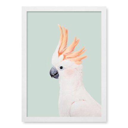 productHero-SPOTWF-BP80701184-white