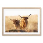 productHero-SPOTWF-BP80701198-natural-oak