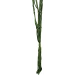 productHero-SPOTWF-BP80703998-green-2