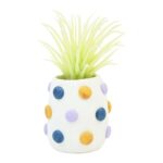 productHero-SPOTWF-BP80704398-multicoloured-3