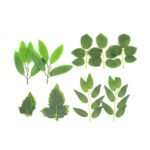 productHero-SPOTWF-BP80704590-green-3