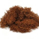 productHero-SPOTWF-BP80704595-brown-3