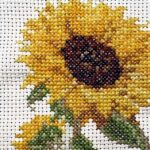 productHero-SPOTWF-BP80705940-multicoloured-3
