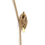 productHero-SPOTWF-BP80707474-natural-6