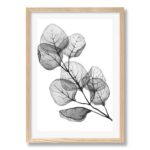 productHero-SPOTWF-BP80709091-natural-oak