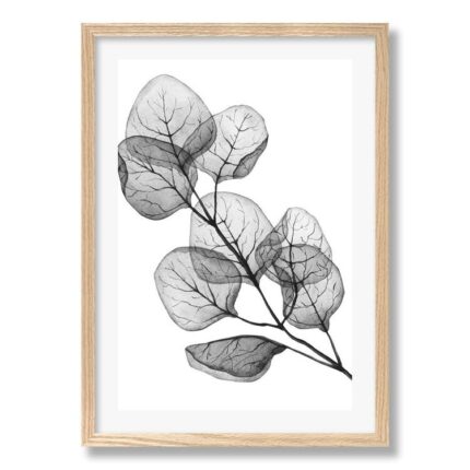 productHero-SPOTWF-BP80709091-natural-oak