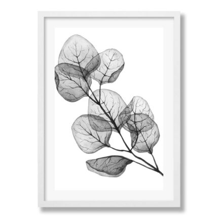 productHero-SPOTWF-BP80709091-white