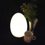 productHero-SPOTWF-BP80712181-white-3
