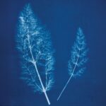 productHero-SPOTWF-BP80714170-blue-2
