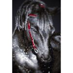 productHero-SPOTWF-BP80714788-multicoloured-3
