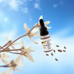productHero-SPOTWF-BP80716329-natural-2