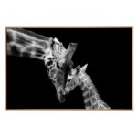 productHero-SPOTWF-BP80718906-black-white