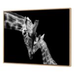 productHero-SPOTWF-BP80718906-black-white-2