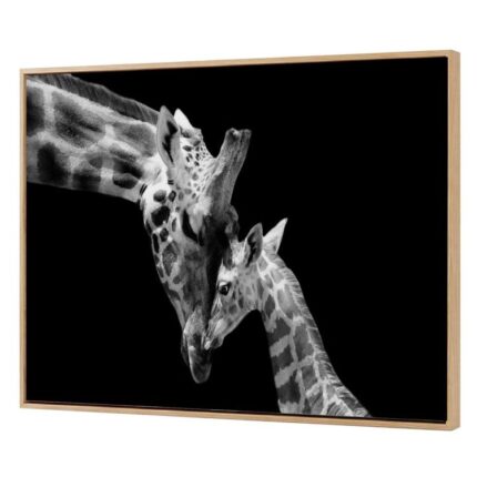 productHero-SPOTWF-BP80718906-black-white-2