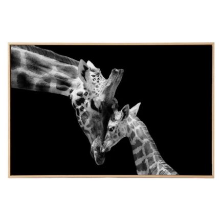 productHero-SPOTWF-BP80718906-black-white