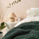 productHero-SPOTWF-BP80719503-forest-3