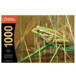 productHero-SPOTWF-BP80719886-multicoloured-4