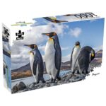 productHero-SPOTWF-BP80720008-multicoloured-3
