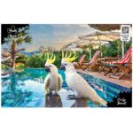 productHero-SPOTWF-BP80720070-multicoloured-3