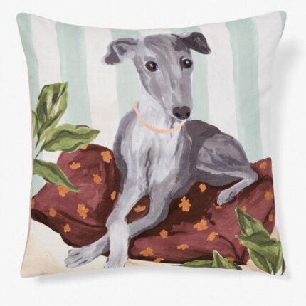 productHero-SPOTWF-BP80721562-greyhound