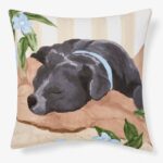 productHero-SPOTWF-BP80721563-staffy