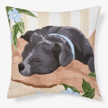 productHero-SPOTWF-BP80721563-staffy