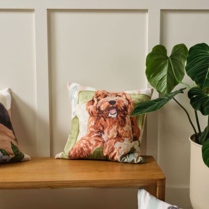 productHero-SPOTWF-BP80721565-cavoodle-2