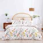 productHero-SPOTWF-BP80722691-daisy