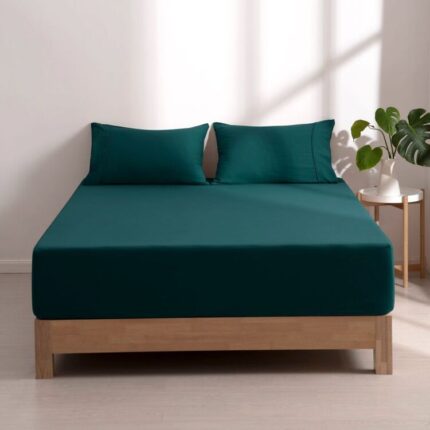 productHero-SPOTWF-BP80724301-teal